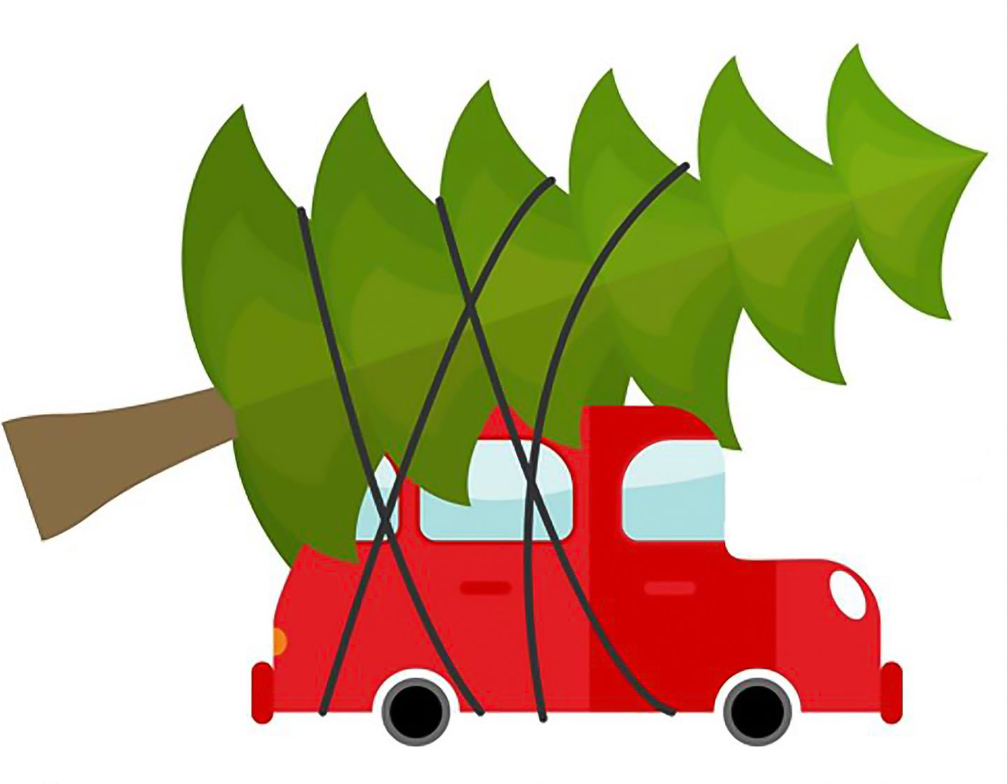 Farm Fresh Christmas Trees in Luray Luray Caverns