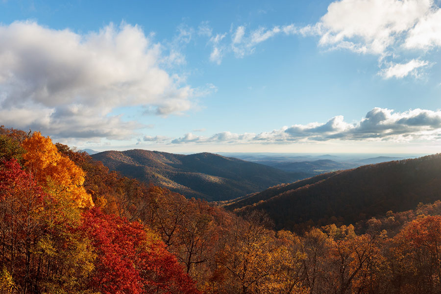 Fall Flash of Color - Luray Caverns