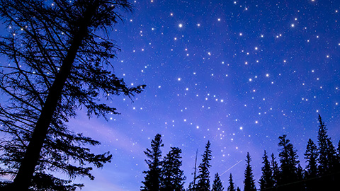 Exploring Shenandoah’s Night Skies - Luray Caverns