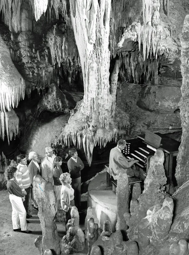 1954